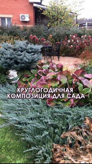 КРУГЛОГОДИЧНАЯ КОМПОЗИЦИЯ ДЛЯ САДА