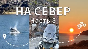Мото-путешествие "На Север" (Часть 8) - Мурманск, Териберка, Конец всех дорог, киты