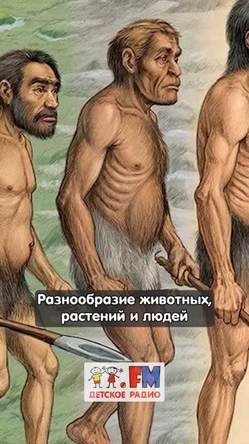 Теория эволюции Чарльза Дарвина #детскоерадио #эволюция #дарвин смотреть онлайн