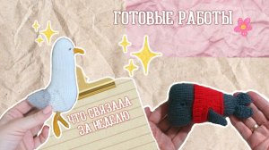 ГОТОВЫЕ РАБОТЫ / ЧТО СВЯЗАЛОСЬ / ЧТО ВЯЖУ