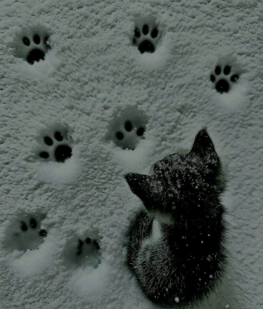 мой вечер смотреть онлайн