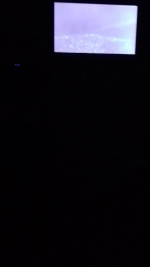 всем привет играем в ассасина крид 4 черный флаг