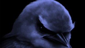 Разбираю канал морковка!?Бум!🥕 (coolkidd)