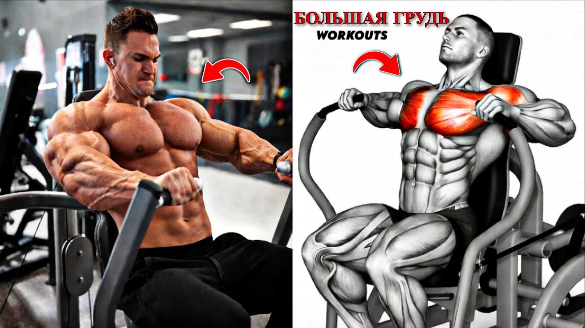 8 Упражнений Для Увеличения Груди - Построй Объем Силу Упругость Грудной Клетки 💪 смотреть онлайн