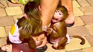 Маня потеряла «СВОЮ» папину ногу и страшно возмущается! Прогулка по Тайгану удалась)))