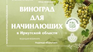 Виноград для начинающих в Иркутской области. Часть 1. Надежда Марценюк