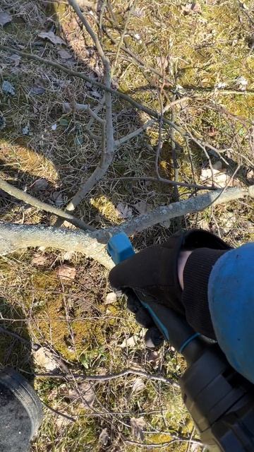 🍃 Секатор аккумуляторный бесщеточный TOOLYARD SK-2140