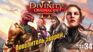 Повелитель зверей в Divinity Original sin 2 на тактике, #34