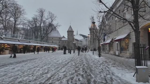 Пешеходный тур по ЭСТОНИИ 2026 - Снегопад в ТАЛЛИНЕ напоминает СКАЗОЧНУЮ деревню❄️☃️🌨❄️☃️🌨