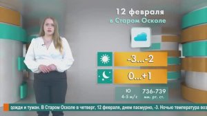 Погода в Старом Осколе на 12 февраля