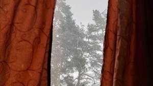 Проекция — психологическая защитная реакция