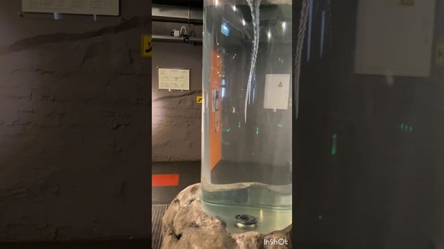 «Экспериментаниум» — музей занимательных наук. Часть 2 смотреть онлайн