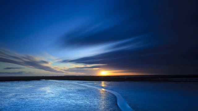 Рождение Homo