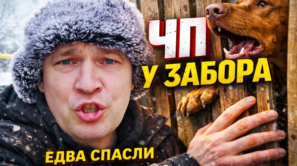 Мы просто хотели помочь собаке… но всё пошло не так. Сложный потолок в санузле