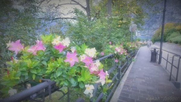 Лимонная деревня, построенная между каменными утесами и озером Гарда