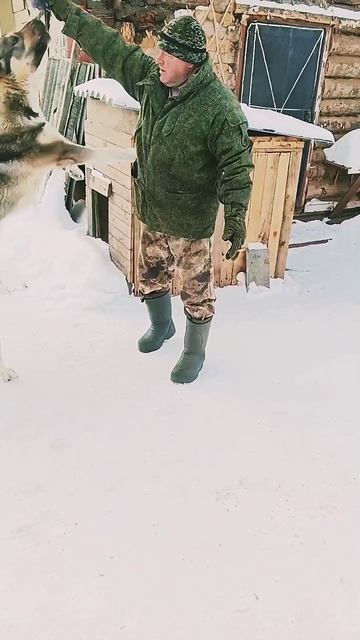 ангор от вязки гороч и гюрза первая вязка брат тарзана