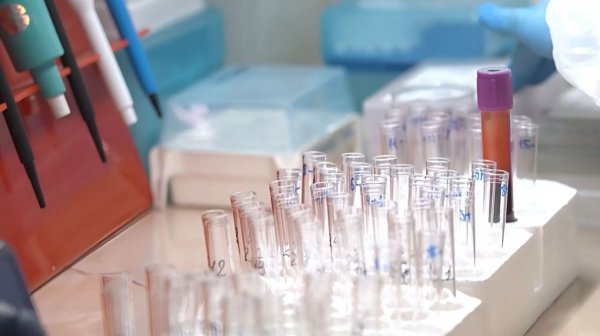 Комплексный подход для выявления проблем с иммунитетом разработали ученые в Беларуси