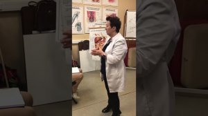 Поправили тело, а голова «не подключена»? Почему вы ходите к массажисту годами без результата?