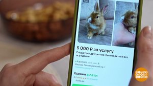 Крольчонок - двигатель торговли! В интернете. Доброе утро. Фрагмент выпуска от 11.02.2026