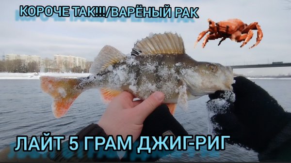 ДЖИГ РИГ ВАРЁНЫЙ РАК ОКУНИ РЫБАЛКА ЗИМОЙ В ФЕВРАЛЕ 2026