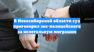 В Новосибирской области суд приговорил экс-полицейского за нелегальную миграцию