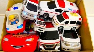 Мультики для детей. Яркие Мультики  . Детские мультики для малышей смотреть