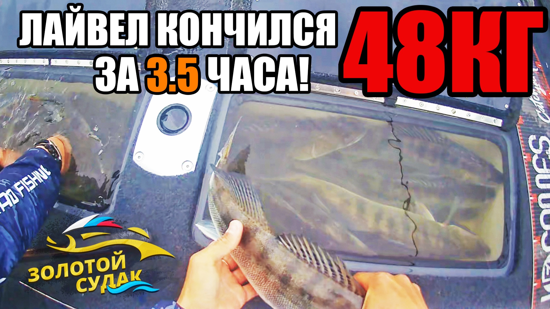 Рекорд России по СУДАКУ! Секреты рыбалки от Чемпионов | Рыбалка в Астрахани и турнир «Золотой Судак» смотреть онлайн