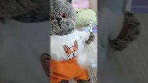 🤧🤕🤒влог с басиком часть 3🎤🧸🎧🎀