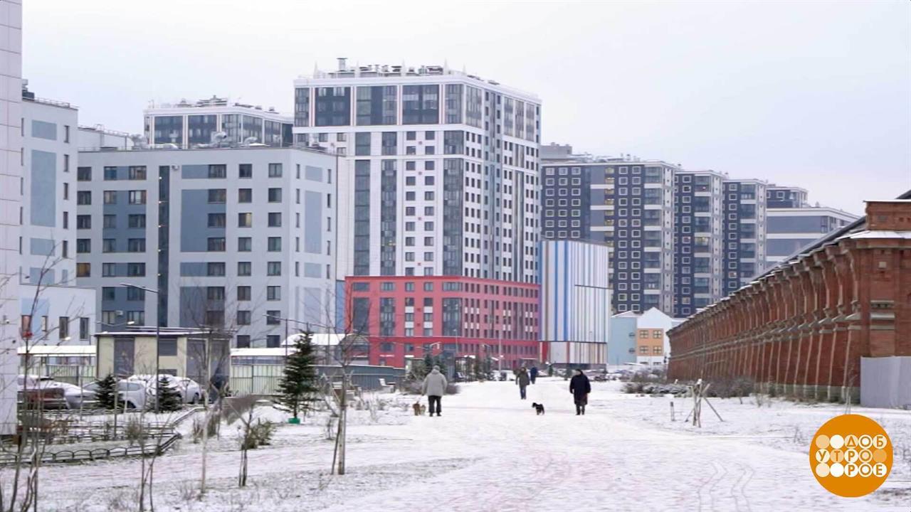 Апартаменты: жить можно... И даже прописаться! Доброе утро. Фрагмент выпуска от 11.02.2026 смотреть онлайн