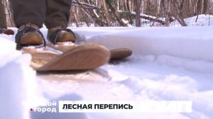 ЛЕСНАЯ ПЕРЕПИСЬ. Большой город 11/02/2026