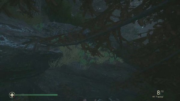 4 апреля 1945  Берга,Германия #13