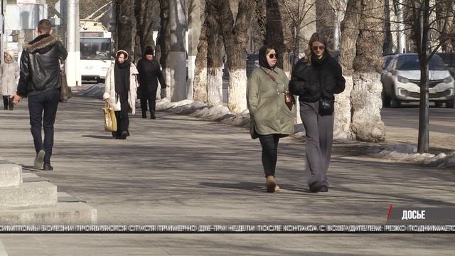 Волгоградцев предупредили о профилактике мышиной лихорадки смотреть онлайн