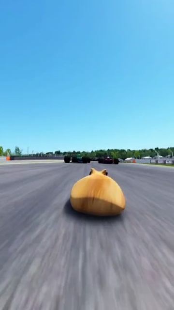 Скоростной хомяк. 🐹🐹🐹 смотреть онлайн