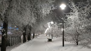 Немного из жизни......