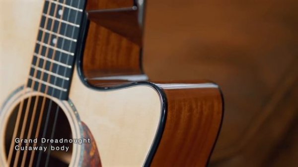 AAD51CE _ Shingo Sekiguchi _ Ibanez