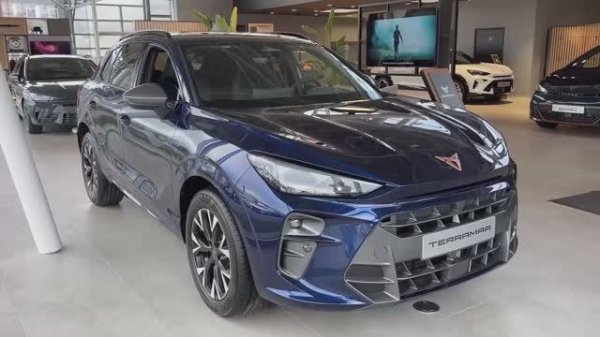 Cupra Terramar 2026 обзор