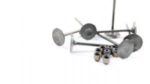 Комплект клапанов выпускных (с сухарями) в сбореLADA XRAY дв.H4M (114 л\с) 8шт Renaul Код: 23146