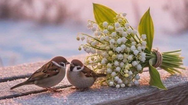 12-02-2026 Деревенские будни. Жарю рыбу, шуршу пакетами.