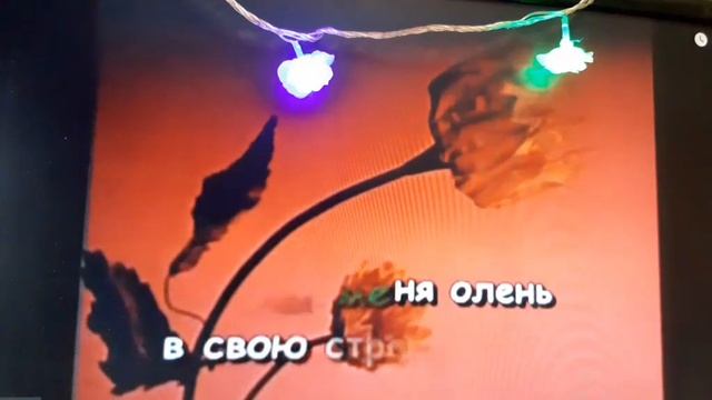 Лесной олень