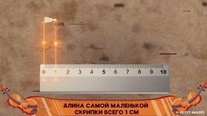 Скрипка. Топ фактов. Автор видео: НЬЮМ ТАСС