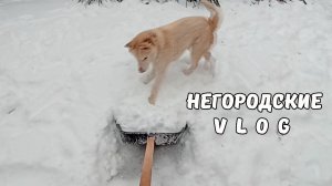 Печка подкачала. Чистим снег с Туманом. 03.02.26.