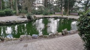 ЯЛТА, как новенький ПРОГУЛКА по МАССАНДРОВСКОМУ ПАРКУ