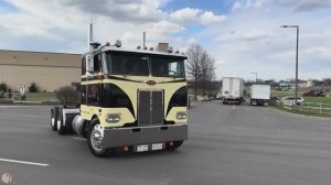 Трак тур по Peterbilt 352 1981 года