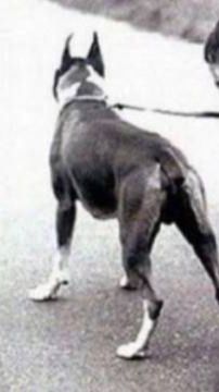 Спас друга! 😉😃👍..!😆 смотреть онлайн