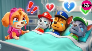 Щенячий патруль и Маршалл. Залипательное видео. Мультфильм для детей и малышей. Анимация 217