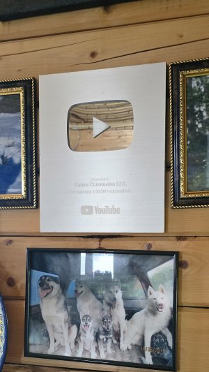 Альтернатива в интернете