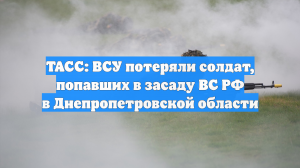 ТАСС: ВСУ потеряли солдат, попавших в засаду ВС РФ в Днепропетровской области