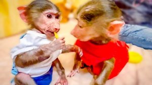 ТАК МИЛО! Степашка и Маняшка просят у Ангелины ВКУСНЫЕ ГРИБОЧКИ)))