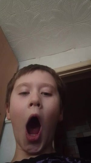 рейтар дома