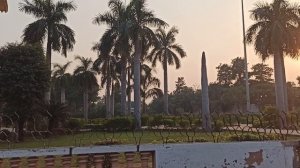 Вот так гуляем..